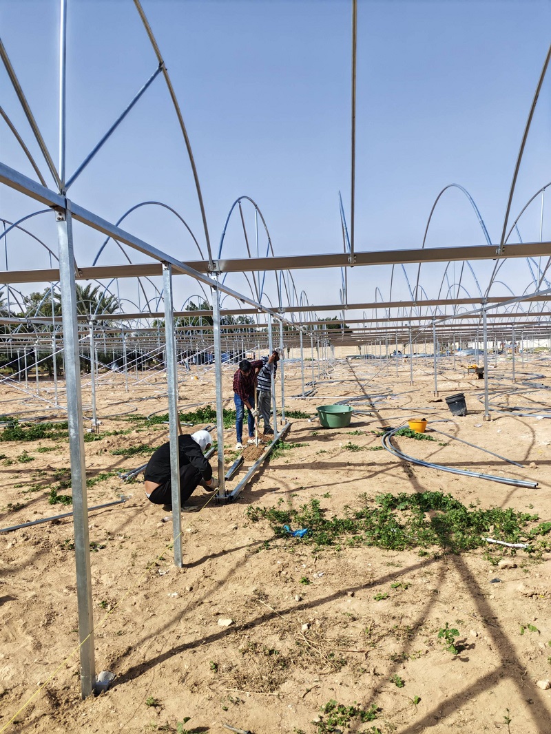 Chongqing Qingcheng Agriculture Accelerates Overseas Expansion; Qatar Greenhouse Project Progress Receives High Praise