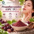 Proantocianidinas OPC 50%–98% Extracto vegetal para formulaciones cosméticas y alimentarias