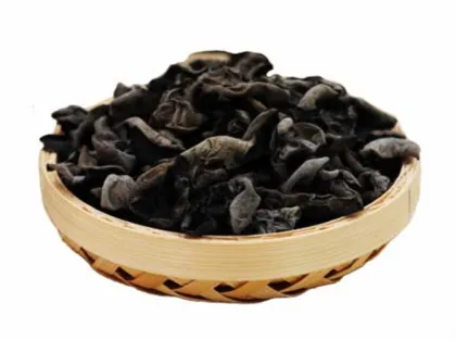 Black Fungus