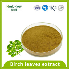 5% flavonoids 10:1 Birch leaves extract