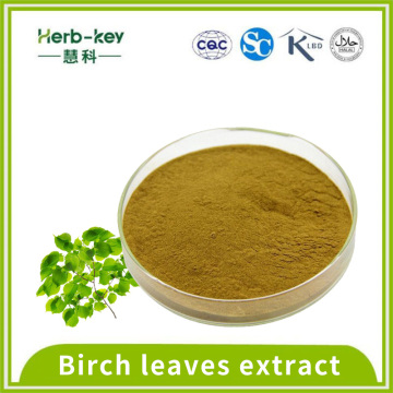 5% flavonoids 10:1 Birch leaves extract
