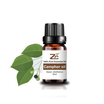 Factory Supply Acne Removal Camphor Essential Oil