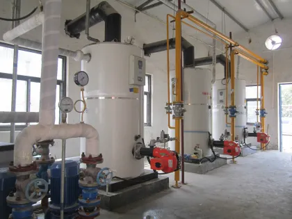 Zhongfei Boiler: Small Automatic Portable Steam Generator Steam Boiler Coverage