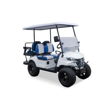 Plaj ve Saha Kullanımı için Özel Golf Arabası