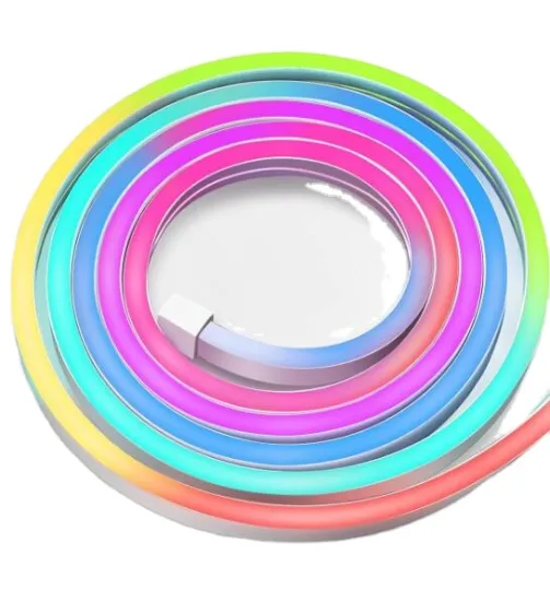 DMX Controllable RGBIC 12V LED Neon Flex Strip Lights: Programmable Dream Color IP68 IP67 Flexible Neon Tube