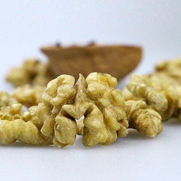 White and abmber walnut kernel ceviz kernel