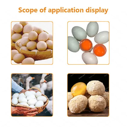 Semi-Automatic Fertilized Chicken and Duck Egg Washer for Farms