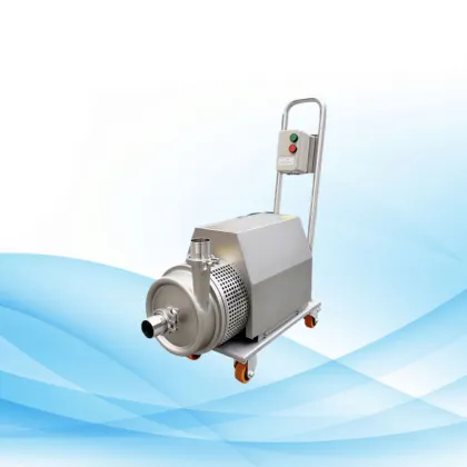 Andritz Electric Plunger Submersible Sand Slurry Centrifugal Pump for Sanitary Milk Industry