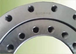 Single-Row Cross Roller Slewing Bearing (06-1790-09)