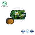 Cardiospermum Halicacabum Extract