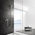 Prolifeplus mixer shower with divertor