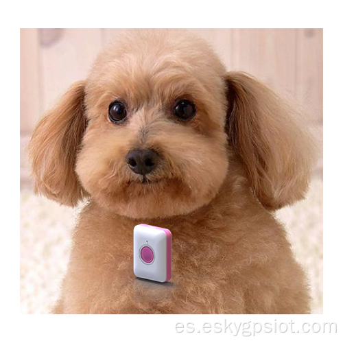 4G PET GPS Tracker