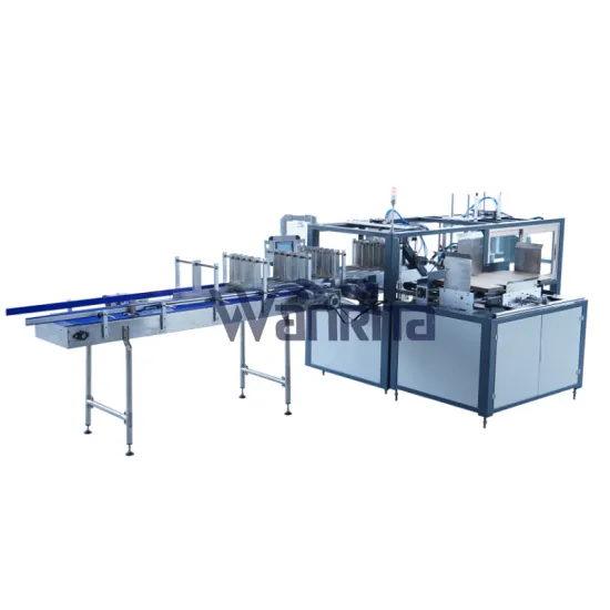 High Speed Automatic Carton Box and Water Bottle Packaging Machine