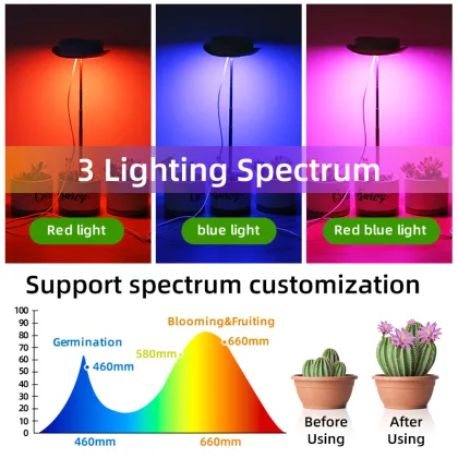 USB Grow Light Indoor Smart Pots: Mini Indoor Potted Plants with Lights for Decorative Planters