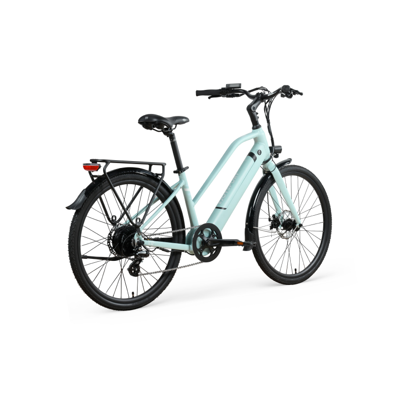 Electric Hybrid Bike