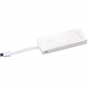 Auto Sleep Smart Phone Polymer Power Bank , 5v Portable Usb Power Charger