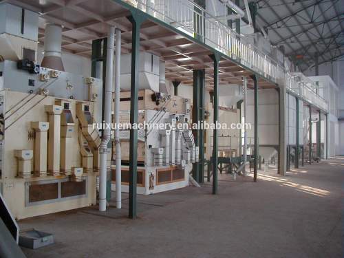 Beet seeds processing line