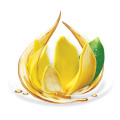 Cananga ylang ylang for Aromatherapy