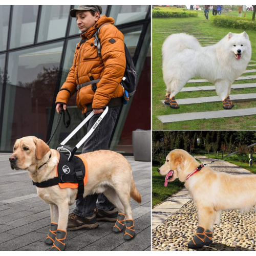 Botas de cão de estimação impermeável