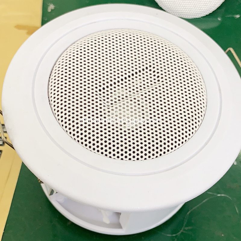 In Ceiling Loudspeaker In Ceiling Loudspeaker