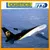 DHL/Fedex/ UPS/TNT/EMS international air freight from ShenZhen/Guangzhou to Mexico