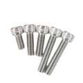 Stainless Steel Hexagon Flat Head Knurled Screws