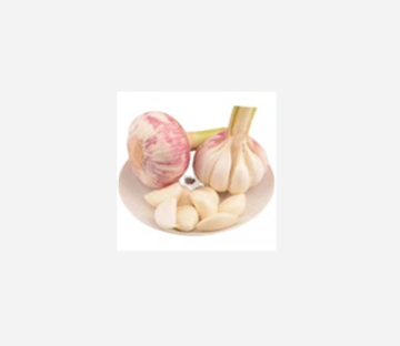 Good Quality Fresh Normal White Garlic