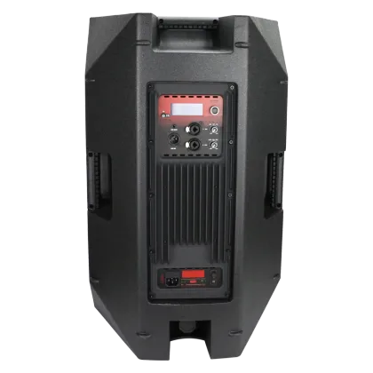 Company professional direct DSP active audio