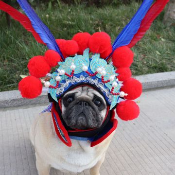 MOFESIPI Cosplay Pet Supplies: Funny Dog Costume - Peking Opera Pet Hat
