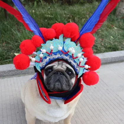 MOFESIPI Cosplay Pet Supplies: Funny Dog Costume - Peking Opera Pet Hat