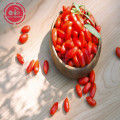 Goji berry goji polysaccharides / gözaltına / zeaksantin bakımından zengin