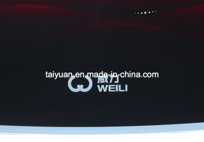 Weili Painted & Tempered Bended Washing Machine Glass