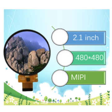 Custom 2.1 Inch TFT LCD 480*480 Display with MIPI Interface