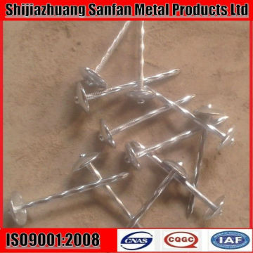 Sell 7lb x 8boxes BWG10X2.5" galvanized roofing nail