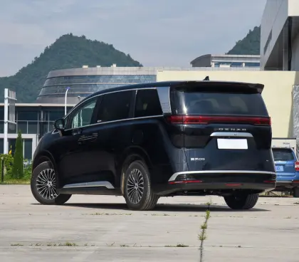2024 Denza D-9: Unique Design Hot Sale Pure Adult Electric Cars