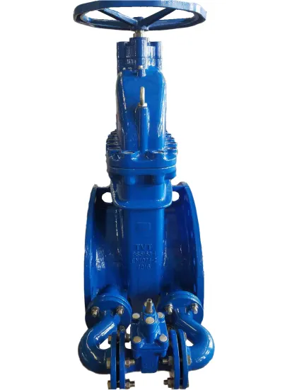 Large Diameter bypass Gate Valve