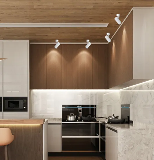 Surface Mounted Led Ceiling Light