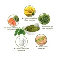 Weight Loss Moringa Slim Capsules