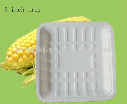 disposable biodegradable supermarket tray