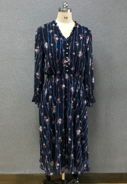 Frauen Chiffon langes Kleid