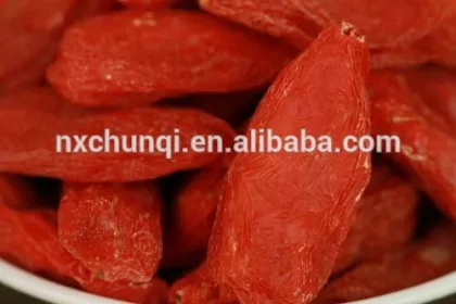 gou qi zi/gojiberry fruit from ningxia