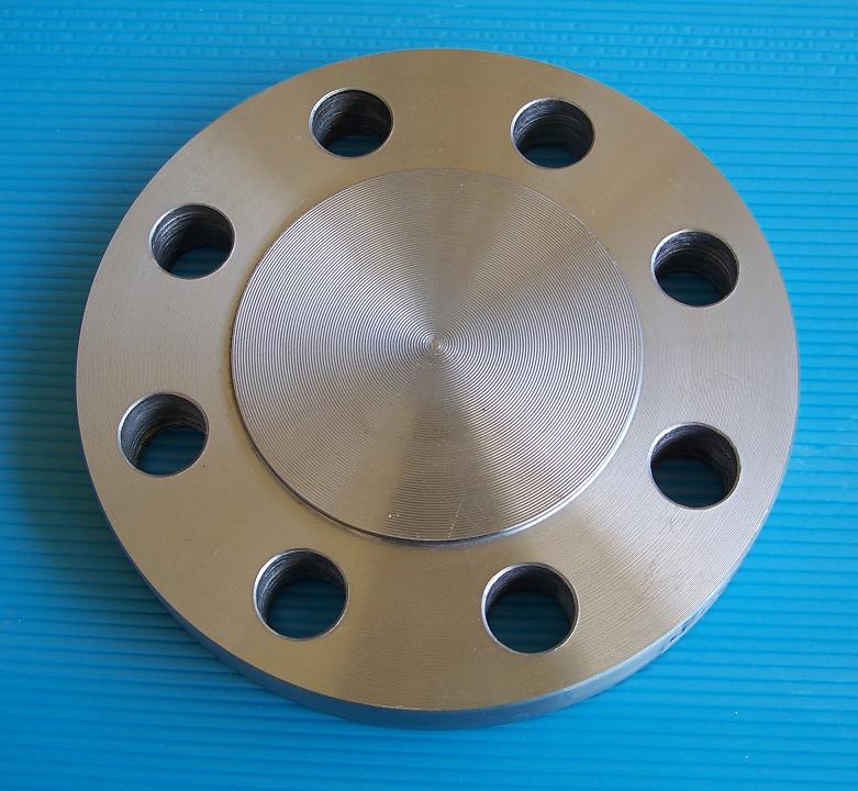 ASME SA182 F304L Forged Flanges