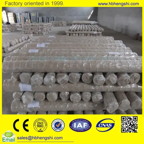 Multifunctional heavy gauge galvanized welded wire mesh panel made in China