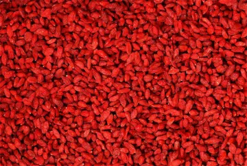 Ningxia High Quality Wholesale  Bulk goji berry