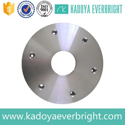 Best price customize stainless steel boss flange
