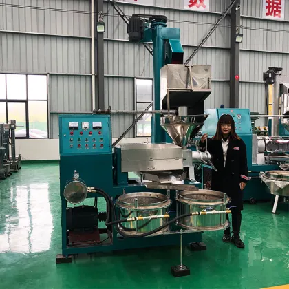 Sesame Sunflower Cold Press Oil Machine