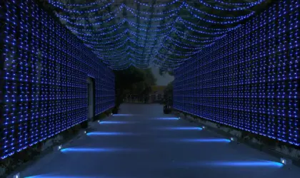 LED Point Source Lights