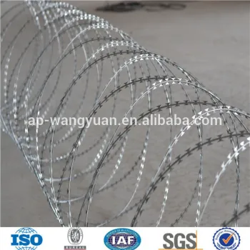 Razor Barbed Wire (Hot-dipped Galvanized/Stainless Steel)