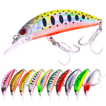 Custom Multiple Colors Minnow Fishing Lure with Durable Blood Hook, 6cm 5.5g