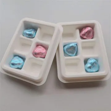 Custom eco friendly bagasse pulp molded packaging insert